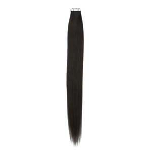 Raw Vietnamese Tape-In Extensions (100g)